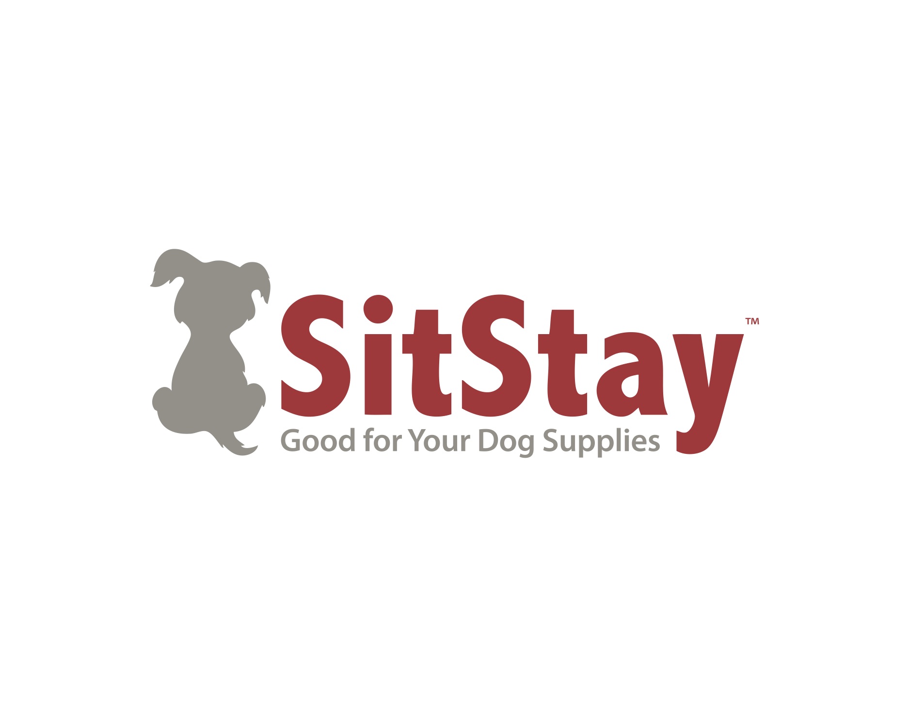 Why SitStay, 19 years in, went through an accelerator