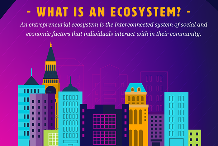What is an ecosystem: A Sioux Falls ecosystem report