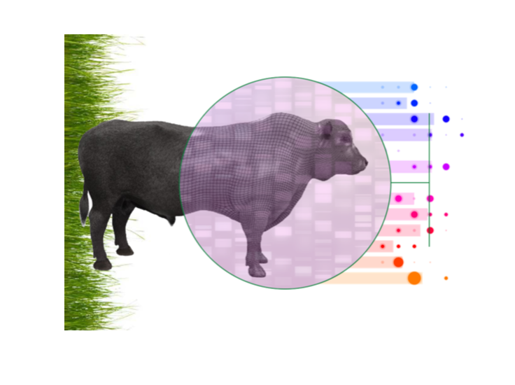 Cattle in the Cloud? AgBoost® is revolutionizing livestock management