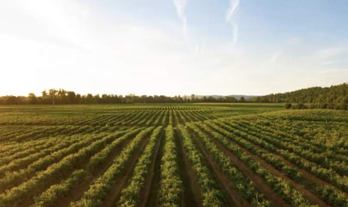 Lincoln agtech startup Sentinel Fertigation partners with crop irrigation systems manufacturer