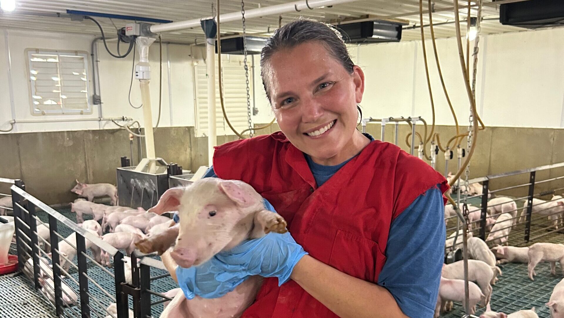 DARO announces $2.5 million fund close to expand disease testing capacity for the swine industry